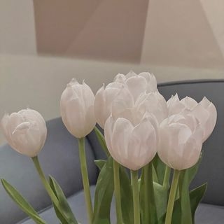 kukwami_la
