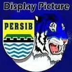 aycup