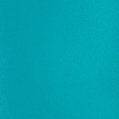 Talentsofc