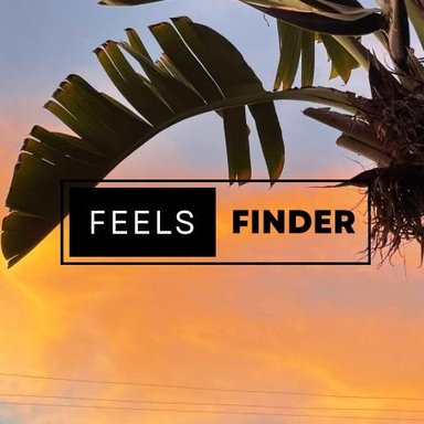 Feelsfinder