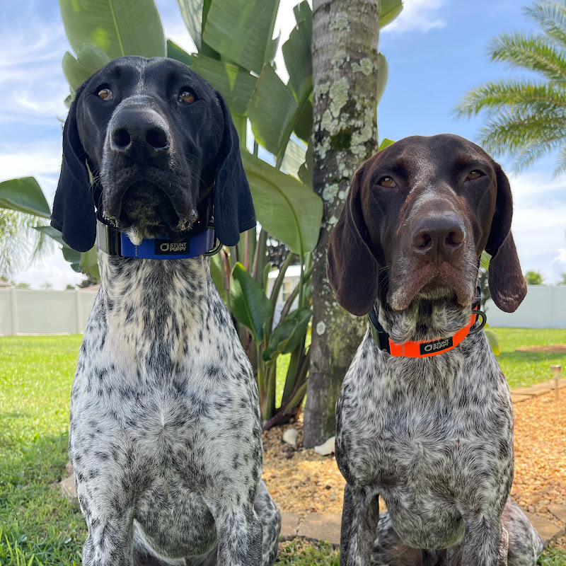 gsp_hanknboone