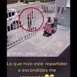 TikTok video