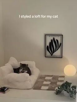 TikTok video