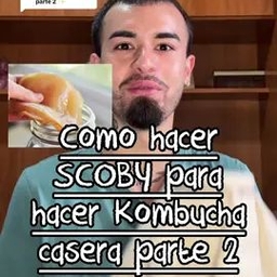 TikTok video