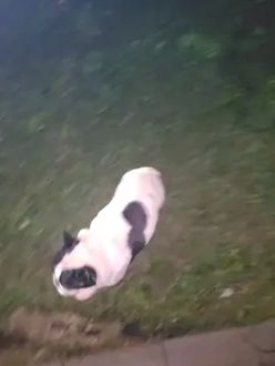 TikTok video