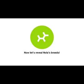 TikTok video