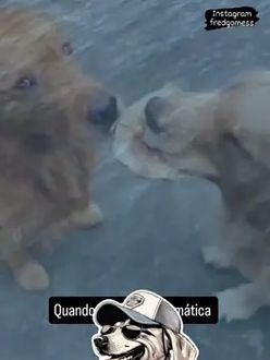 TikTok video