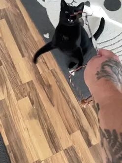 TikTok video