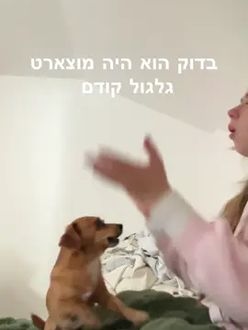 TikTok video