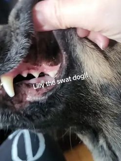 TikTok video