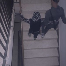 TikTok video