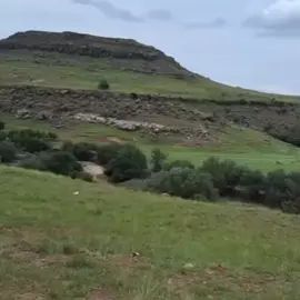 TikTok video