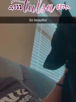 TikTok video