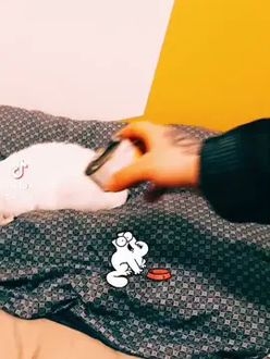 TikTok video