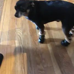 TikTok video