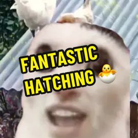 TikTok video