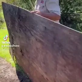 TikTok video