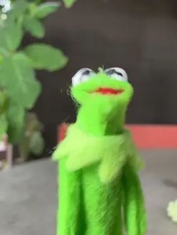 TikTok video