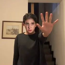 TikTok video