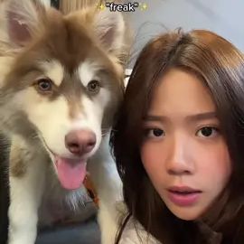 TikTok video