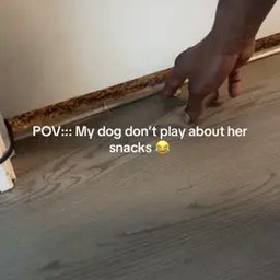 TikTok video