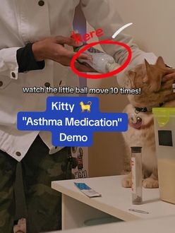 TikTok video