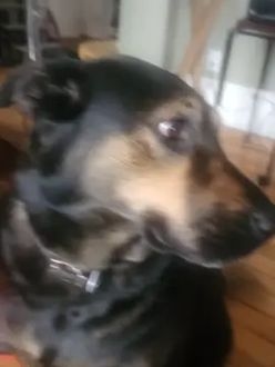 TikTok video