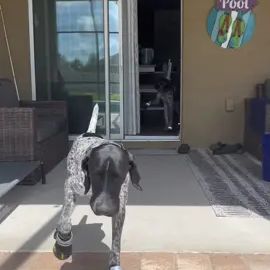 TikTok video