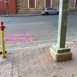 TikTok video