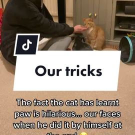 TikTok video