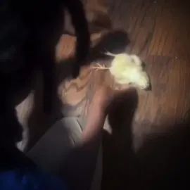 TikTok video