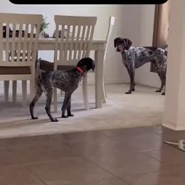 TikTok video