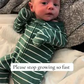 TikTok video