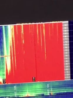 TikTok video