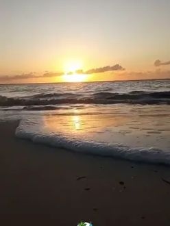TikTok video