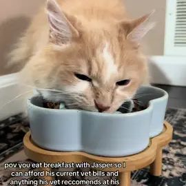 TikTok video