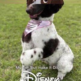 TikTok video