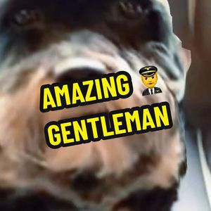 TikTok video