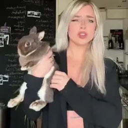 TikTok video