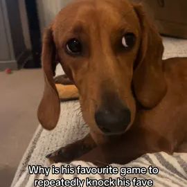 TikTok video