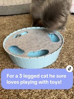 TikTok video