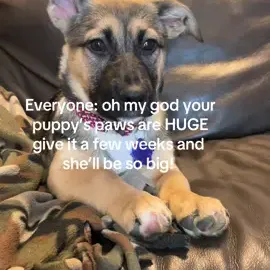 TikTok video
