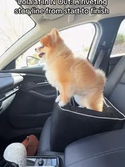 TikTok video
