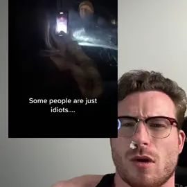 TikTok video