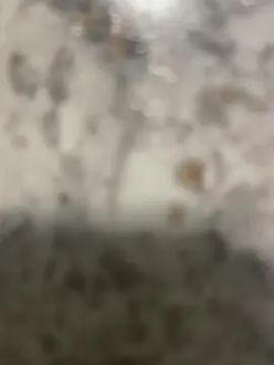TikTok video