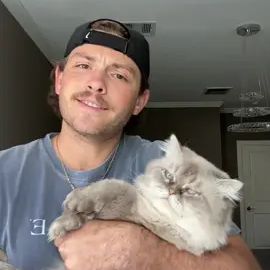 TikTok video