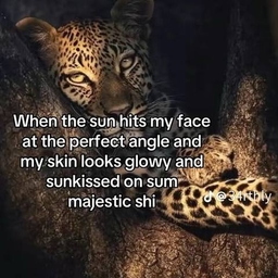 TikTok video