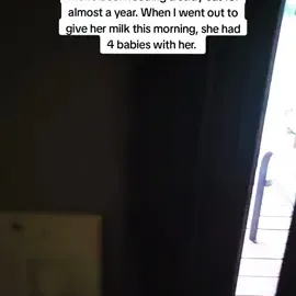 TikTok video