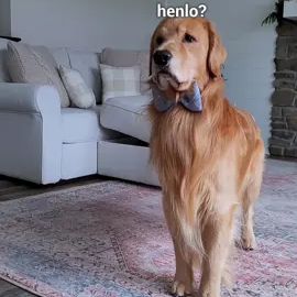 TikTok video