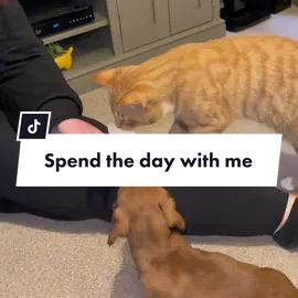 TikTok video